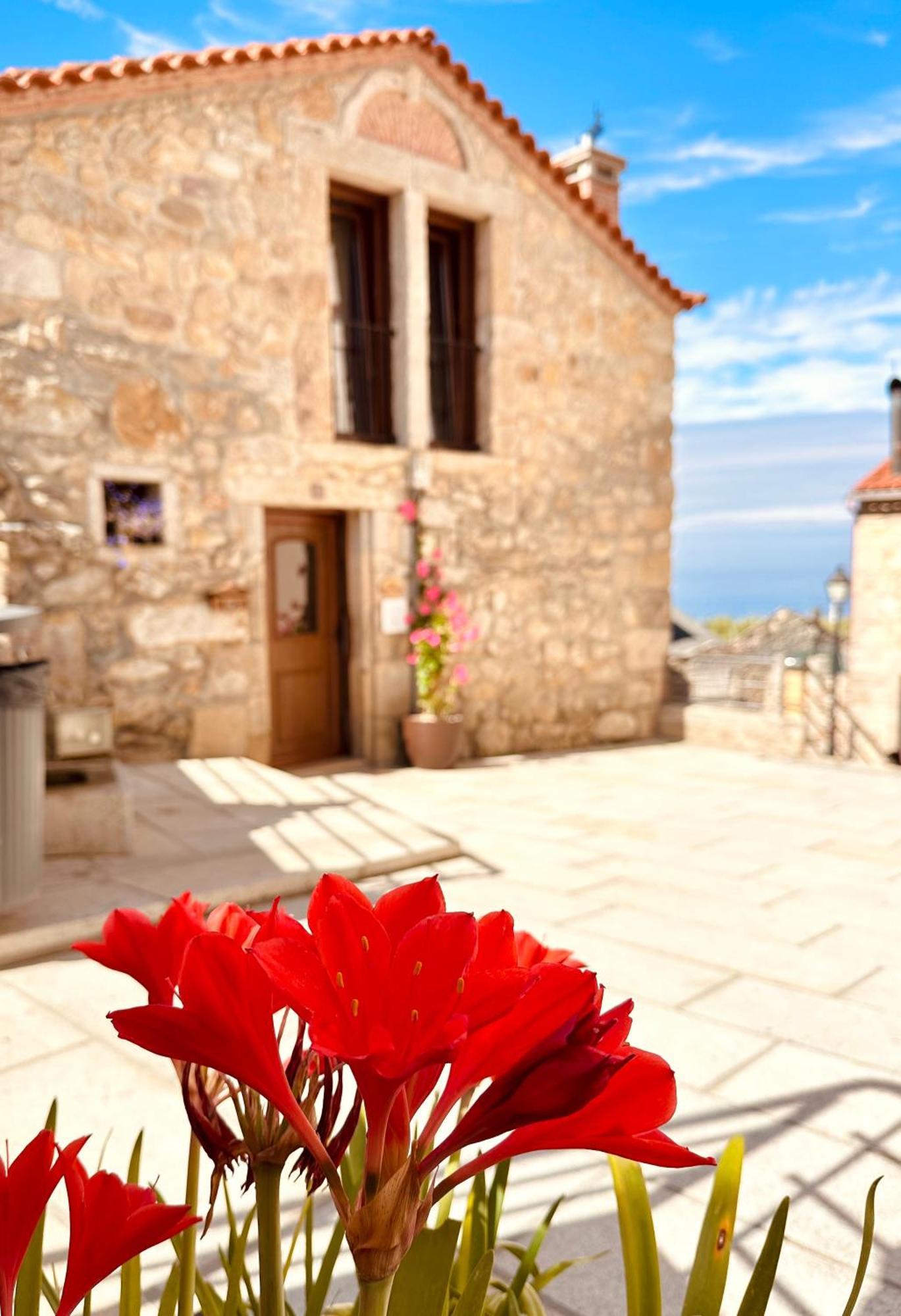 Teresa Caeiro Villa Oia Bagian luar foto